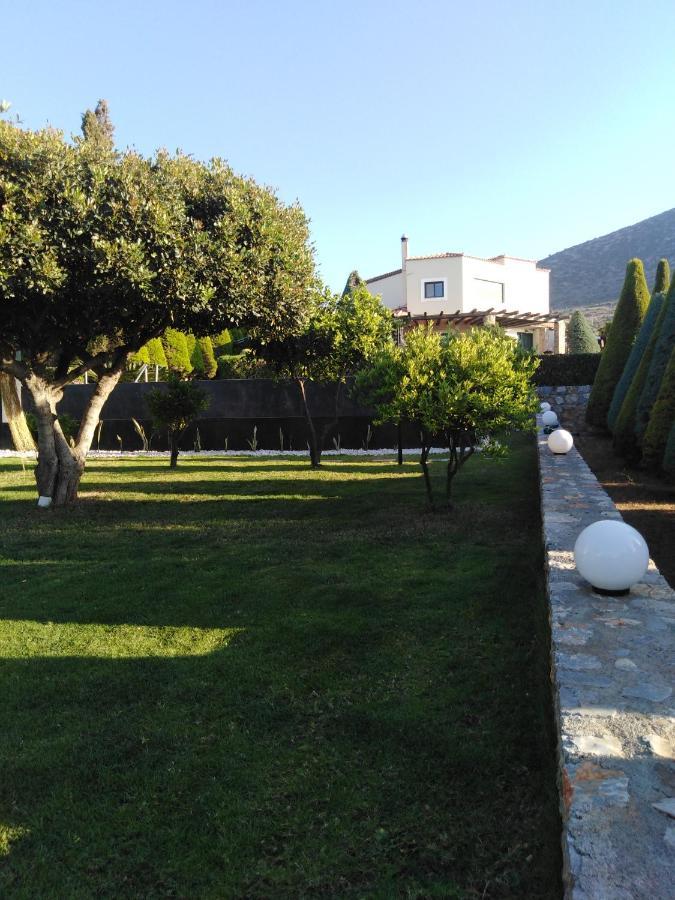 Golden Crest Villa Hersonissos  Zewnętrze zdjęcie